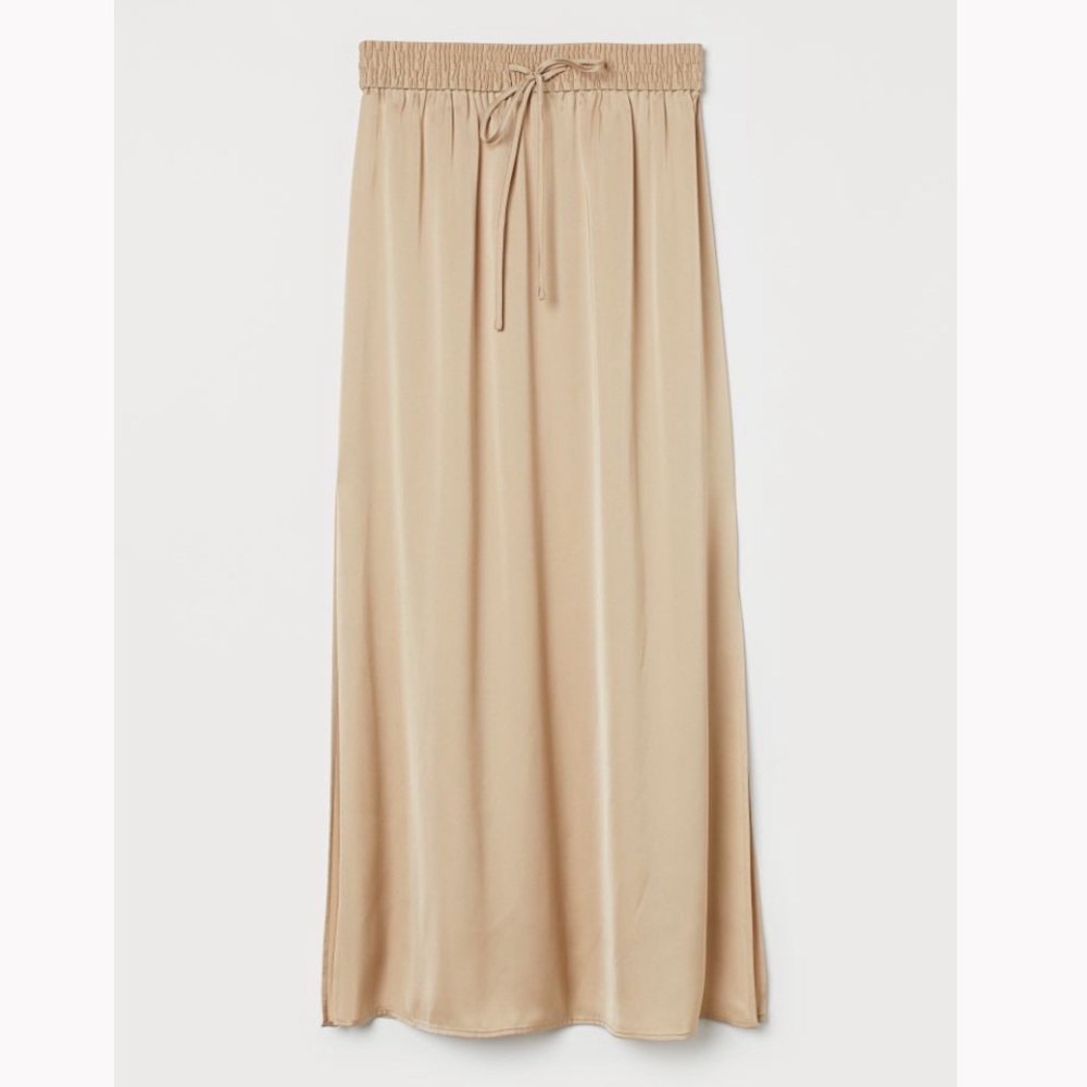 NWOT H&M MIDI Skirt